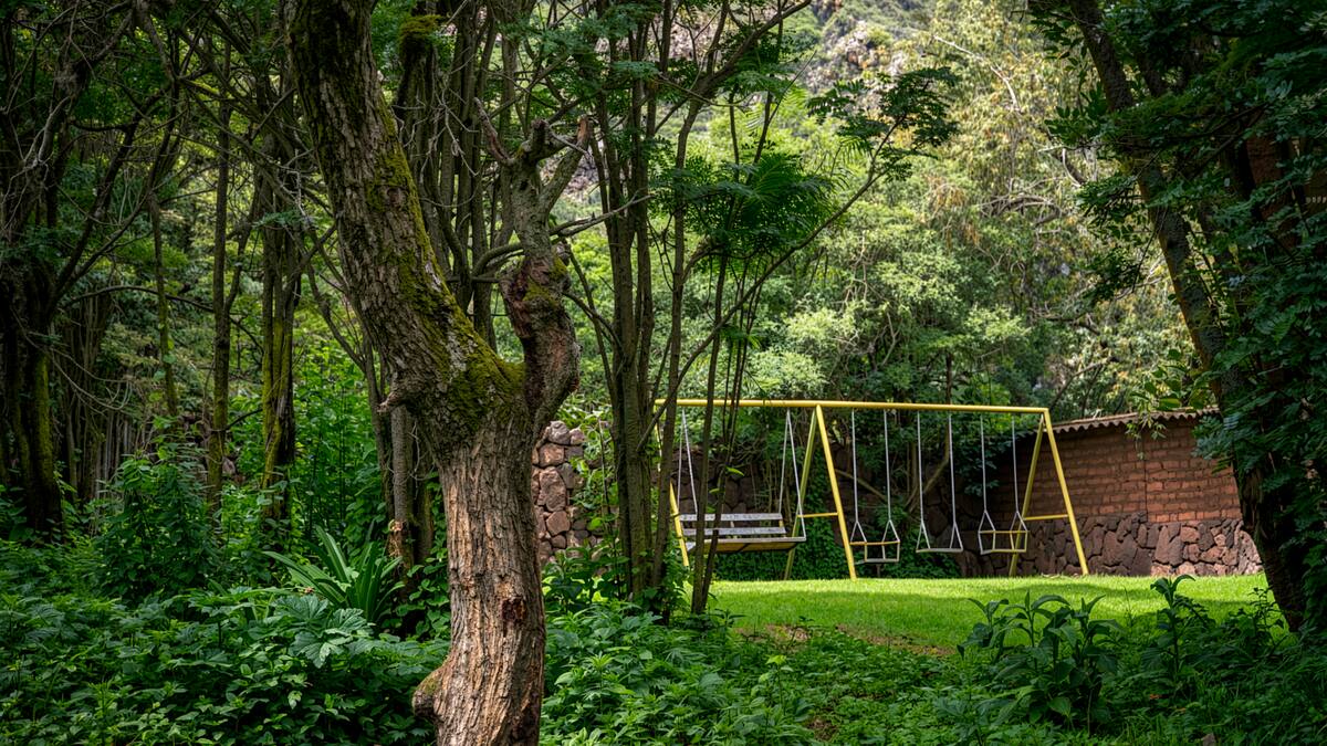 Juegos de columpio entre los árboles del jardín