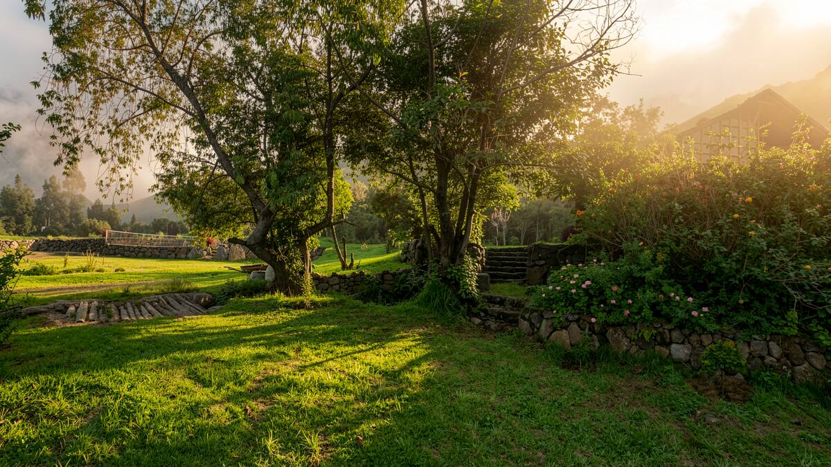 Jardines al amanecer con luz entre los árboles