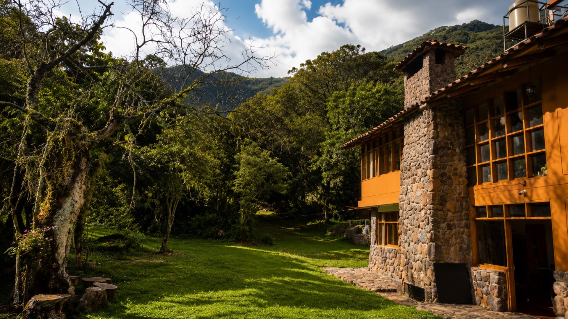 Casa vista desde el jardín posterior con el bosque al fondo