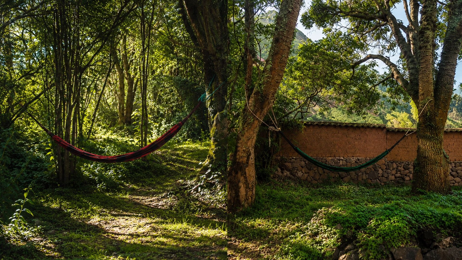 Hamacas colgadas entre árboles para descanso al aire libre